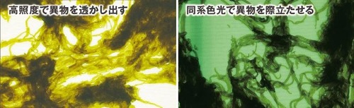 shokuhin02.JPG