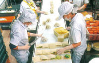 plastic_sunction_img09.jpg