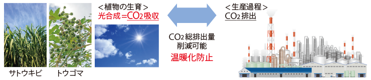 biomass-plastic-bearing-img01.png